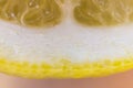 Macro of a slice of a fresh lemon. Royalty Free Stock Photo