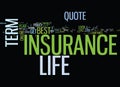 Everybody Wants The Best Term Life Insurance Quote Text Background Word Cloud Concept
