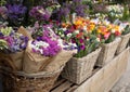 Everyday flowers counter with variety of fresh cut flowers such as statice salem or limonium sinuatum, anemone coronaria