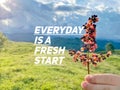 Everyday is a fresh start. Inspirational motivational quote. Royalty Free Stock Photo