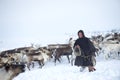 Everyday life of Russian aboriginal reindeer herders in the Arctic. Royalty Free Stock Photo