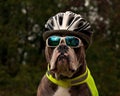 Everyone must protect themselves when cycling in traffic, and then with a helmet and reflective vest