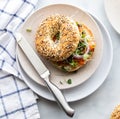 Everything bagel sandwich with salmon lox and cream cheese and topped with micro greens, red onion and capers. Royalty Free Stock Photo