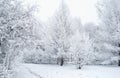 Everything is covered with snow. Fabulous Christmas trees and festive mood Royalty Free Stock Photo