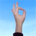 Everything is okay, ok sign with hand, tree sign with same hand aginst sky ok, bad and good Royalty Free Stock Photo