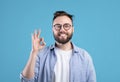 Everything is okay. Portrait of happy Caucasian guy showing OK gesture over blue studio background