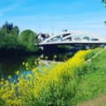 Evesham,Bridge, flowers, morning, river, gras