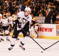 Evgeni Malkin Pittsburgh Penguins Royalty Free Stock Photo