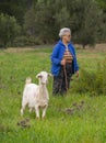 Evia Island, Greece. December 2020: A female shepherd grazes goats in a meadow in an olive garden on the Greek island of Evia in G