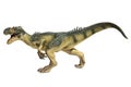 Evil Allosaurus on white background Royalty Free Stock Photo
