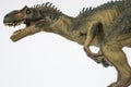 Evil Allosaurus on white background Royalty Free Stock Photo