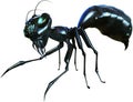 Evil Ant, Insect, Bug, Isolated