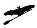 Flying halloween bat and witch broom vector outline Royalty Free Stock Photo