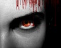 Evil black alien vampire or zombie eyes. Close up shot. Royalty Free Stock Photo