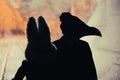 Evil Bunny and Plague Doctor Silhouette