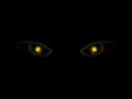 Evil dangerus eyes on black background Royalty Free Stock Photo