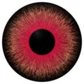 Evil dark red eyeball 3d texture Royalty Free Stock Photo
