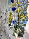 evil eye beads hanged on tree for good luck