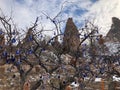 Evil eye - traditional Turkish souvenir tied up on a tree branch in Cappadocia.