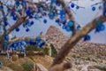 Evil eye in tree behind Uchisar Castle in Cappadocia, Uchisar, Turkey Royalty Free Stock Photo