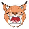 Evil faca of lynx Royalty Free Stock Photo