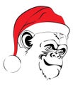 Evil monkey in Santa hats