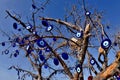 Evil nazar eye talismans tree near Pigeon valley, beautiful canyon in Cappadocia,Turkey.