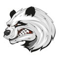 Evil panda. Vector illustration of a angry panda bear
