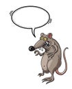 Evil rat-100 Royalty Free Stock Photo