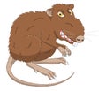 Evil rat Royalty Free Stock Photo