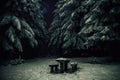 Evil red eyes in the forest, night in winter Royalty Free Stock Photo