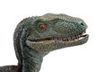 Evil velociraptor on white background Royalty Free Stock Photo