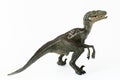 Evil velociraptor on white background Royalty Free Stock Photo