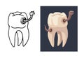 An evil worm has ruined a molar tooth. Caries concept.