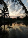 Evining sunlight with clouds and paddy field Royalty Free Stock Photo