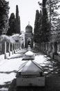 Black and white image of a cemetery in Italy