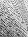 black and white wood surface texture Royalty Free Stock Photo