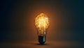 An evocative close-up image showcasing a single light bulb on a minimalistic background. The Royalty Free Stock Photo