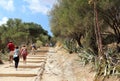 Classic Doric Greek Temple At Segesta, Sicily