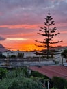 Sunset with silhouette of houses and trees in the background