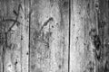 Texture of old vertical wooden planks Royalty Free Stock Photo