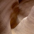 Evocative sandstone shapes