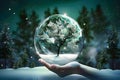 Earth crystal glass globe ball and tree in hand saving the environment in winter night landscape. snowy forest and fir branches. Royalty Free Stock Photo