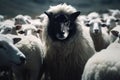 Wolf in sheep clothing. The Shepherd\'s Dilemma: Protecting the Flock. Hidden Motives Unveiled: The Wolf\'s Gambit.