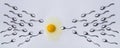 Evolution, fertilization. Spermatozoa, egg and anatomy. Sperm swimming toward egg concept. Winner, success and