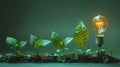 Evolution of green plants with glowing light bulb on a green background, growth and innovation concept Royalty Free Stock Photo