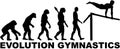 Evolution gymnastics high bar