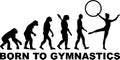 Evolution Gymnastics Hoop