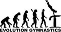 Evolution gymnastics vaulting table