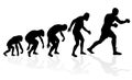 Evolution of the Heavyweight Boxer. Royalty Free Stock Photo